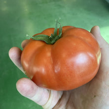 Load image into Gallery viewer, Beefsteak Tomatoes
